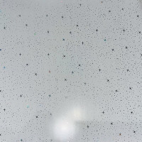 panel-pvh-decomax-6000-250-8mm-termopechat-milkyway
