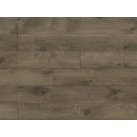 Ламинат Classen, коллекция Legend 4V WR 54781 Дуб Данди