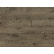 Ламинат Classen, коллекция Legend 4V WR 54781 Дуб Данди