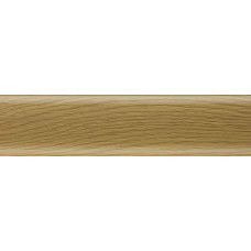 plintus-salag-salag-sg56-08-dub-temniy