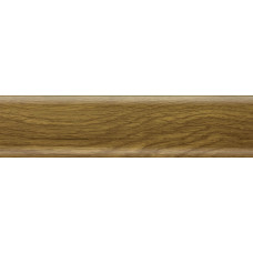 plintus-salag-salag-sg56-50-dub-polskiy