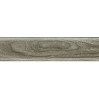 Плінтус Salag (Салаг) SG56, C9 дуб негре