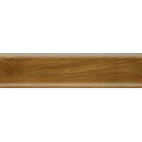 Плінтус Salag (Салаг) SG56, F4 дуб рояль