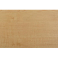 plintus-mdf-super-profil-pp-1280-klen-tanzau
