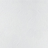 plita-podvesnogo-potolka-retail-board-600h1200h12-mm